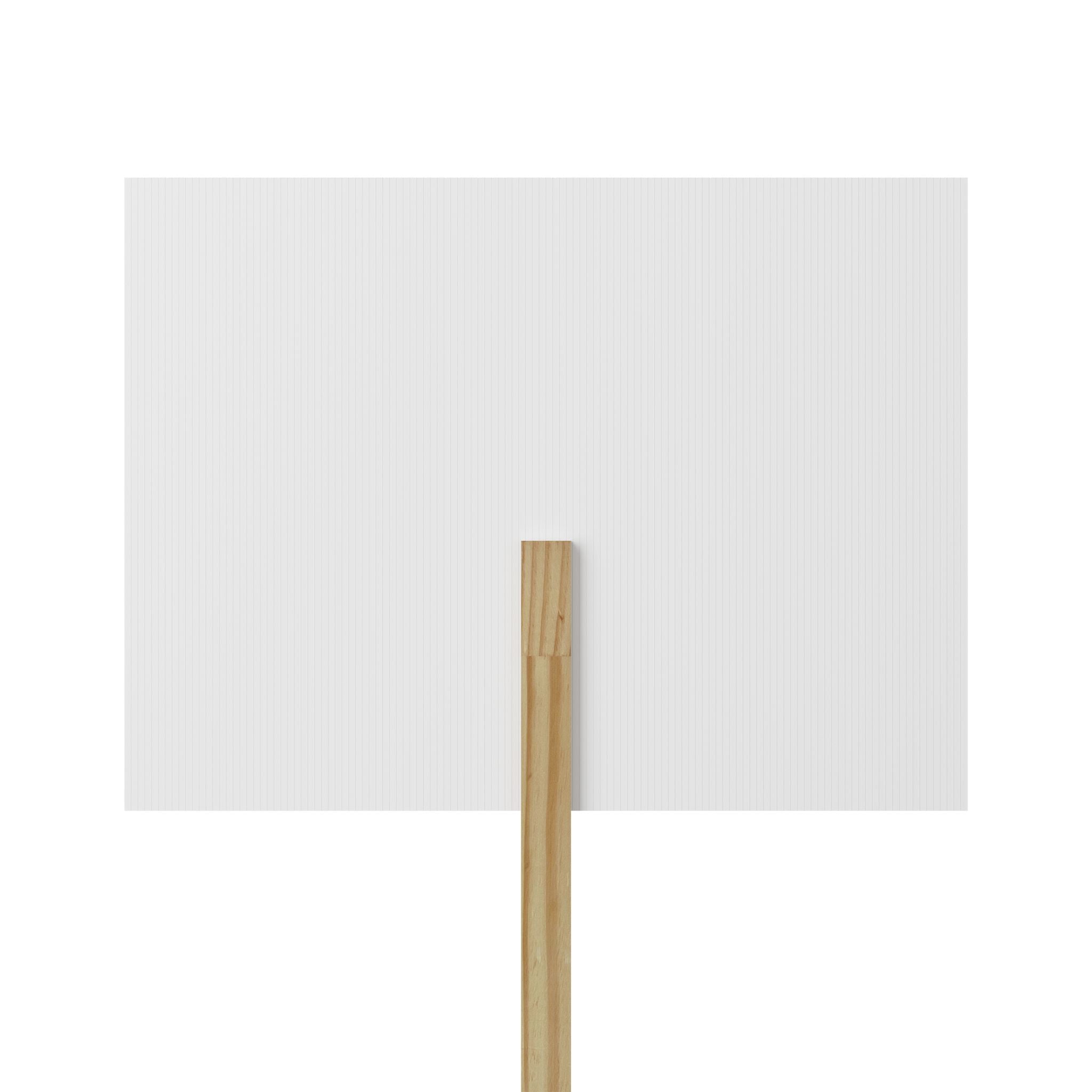 Protest Sign